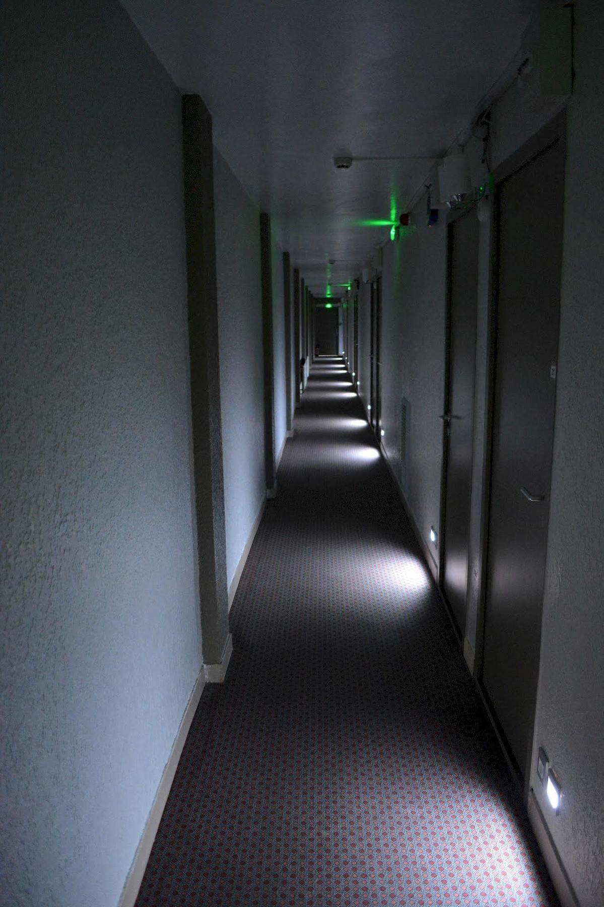 Hotel Le Lyon Bron Bagian luar foto